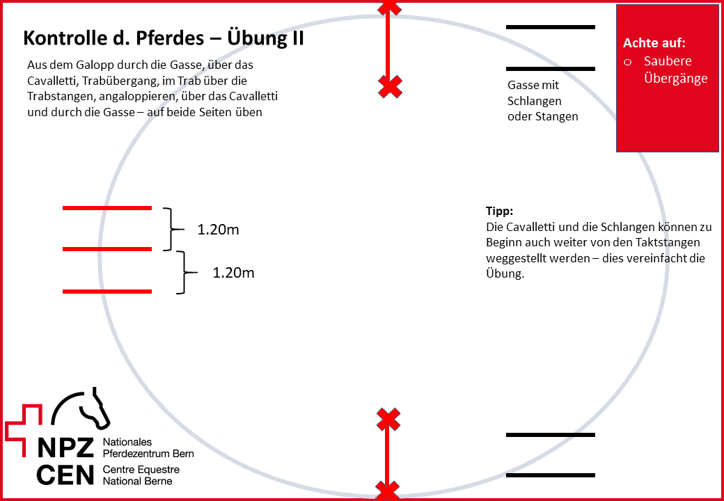 Pferd Gymnastizieren übungen