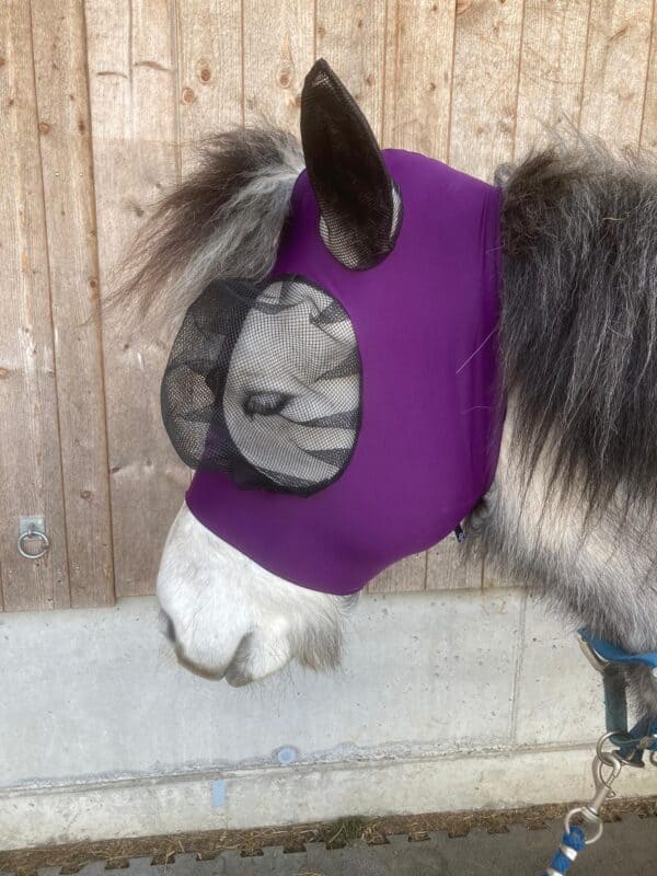 Fliegenmaske – Bild 2