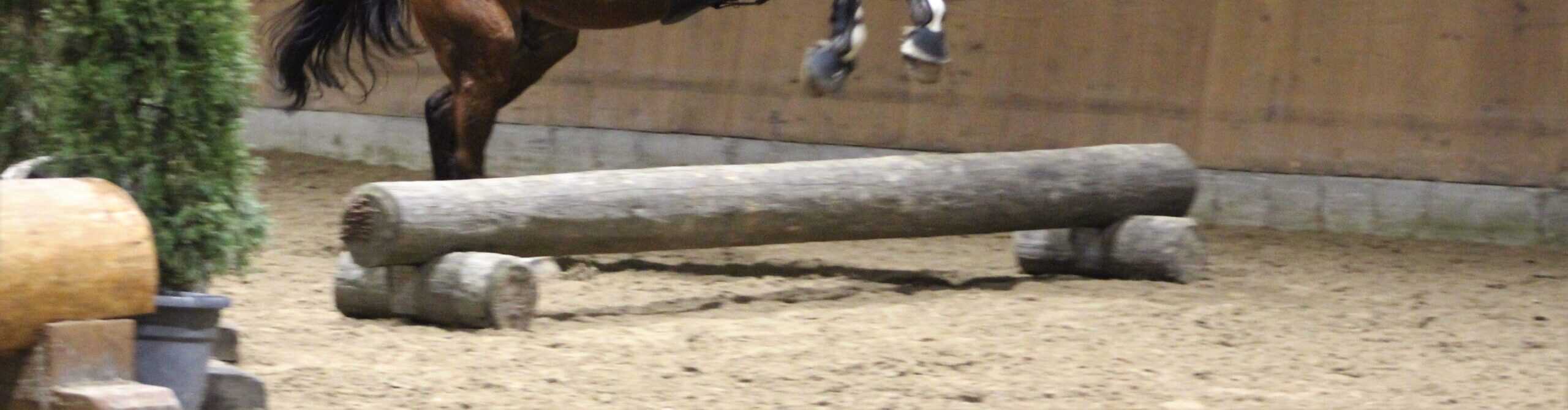 Jump & Run Indoor