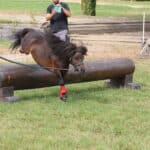 Jump & Run Indoor